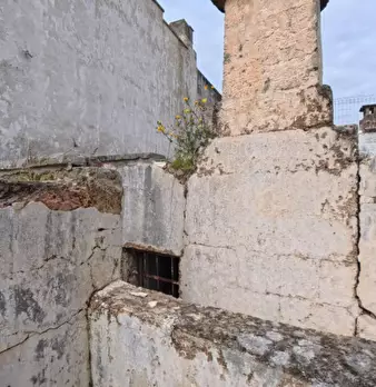 Foto annuncio 25