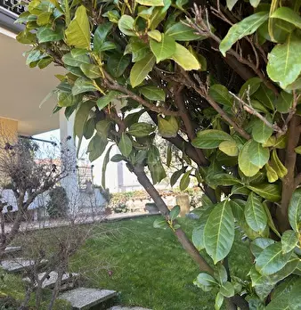 Foto annuncio 9
