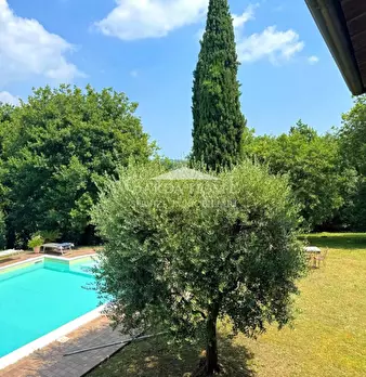 Foto annuncio 29