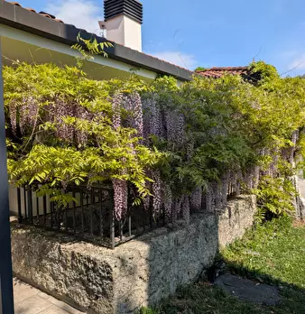 Foto annuncio 2