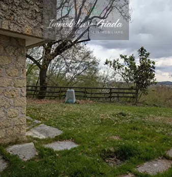 Foto annuncio 61