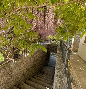 Foto annuncio 68