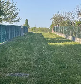 Foto annuncio 2