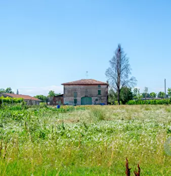 Foto annuncio 2