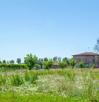 Foto annuncio 4