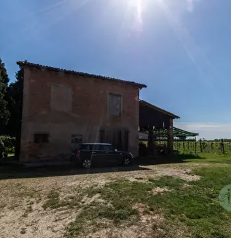 Foto annuncio 6