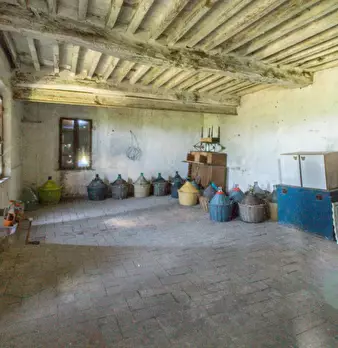 Foto annuncio 17