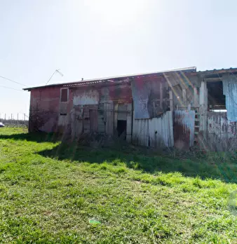 Foto annuncio 11