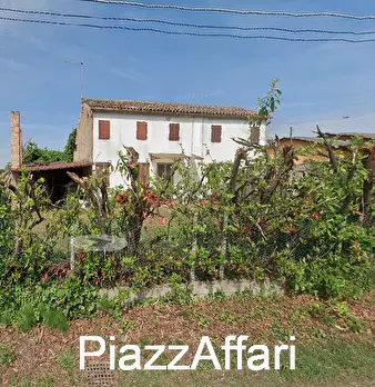 Foto annuncio 1