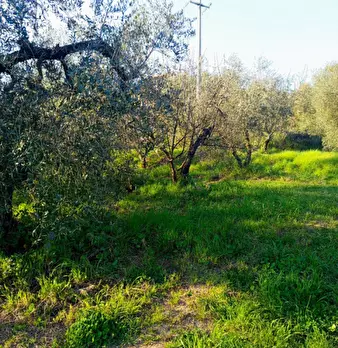 Foto annuncio 3