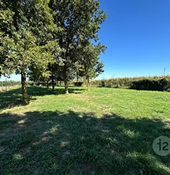 Foto annuncio 12