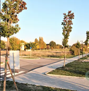 Foto annuncio 4
