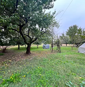 Foto annuncio 20