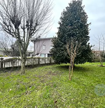 Foto annuncio 29