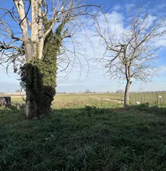 Foto annuncio 30
