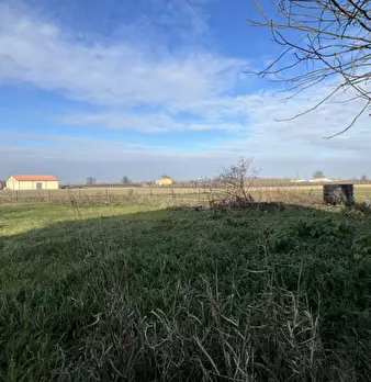 Foto annuncio 31