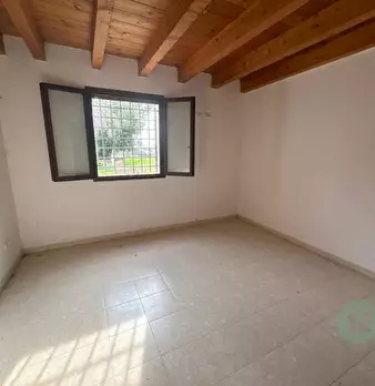 Foto annuncio 26