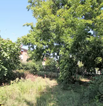 Foto annuncio 5