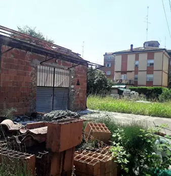 Foto annuncio 7