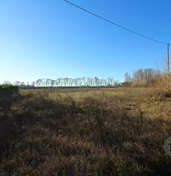 Foto annuncio 16