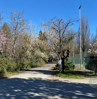 Foto annuncio 6