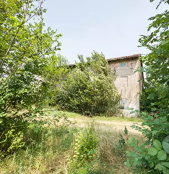 Foto annuncio 7