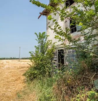 Foto annuncio 9