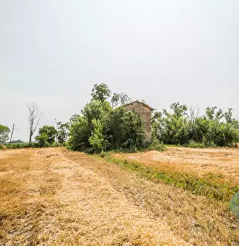 Foto annuncio 17