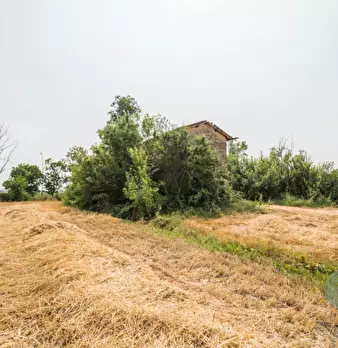 Foto annuncio 18