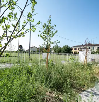 Foto annuncio 5