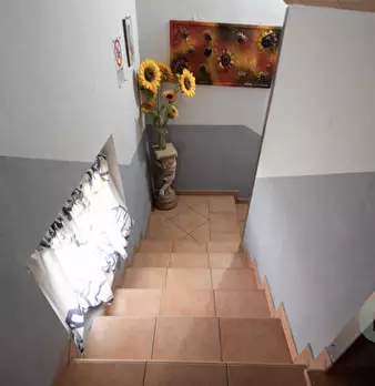 Foto annuncio 16