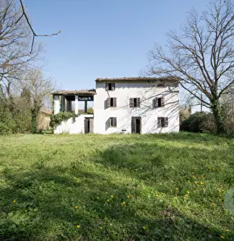 Foto annuncio 5