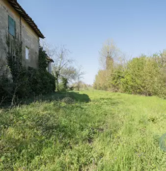 Foto annuncio 8