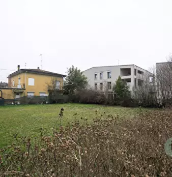 Foto annuncio 7