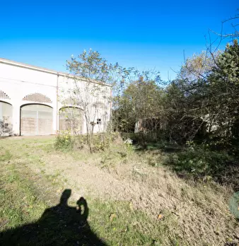Foto annuncio 20