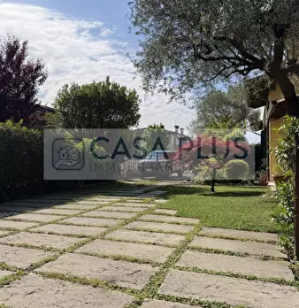 Foto annuncio 24