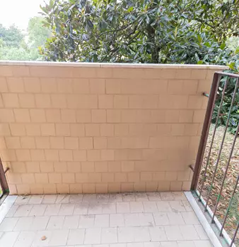 Foto annuncio 6
