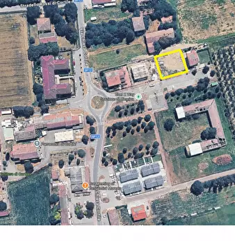 Foto annuncio 7