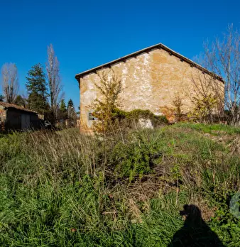 Foto annuncio 4
