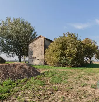 Foto annuncio 9