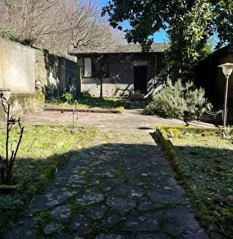 Foto annuncio 28