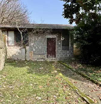 Foto annuncio 29