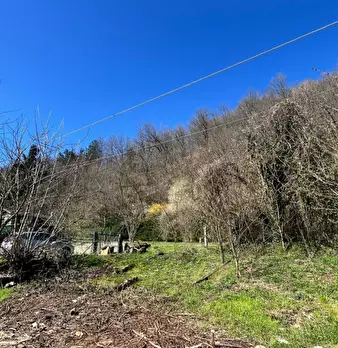 Foto annuncio 38