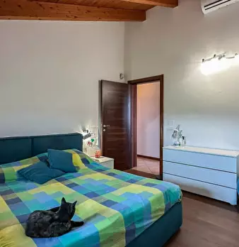 Foto annuncio 25