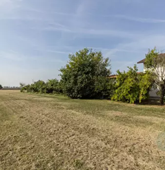Foto annuncio 21