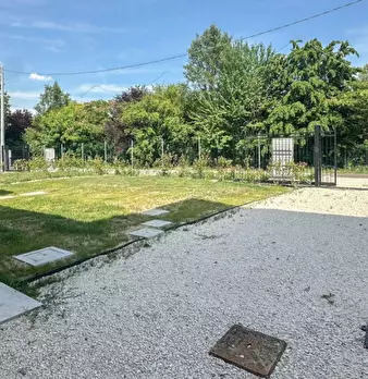 Foto annuncio 9