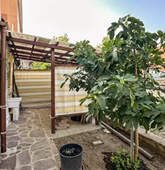 Foto annuncio 9