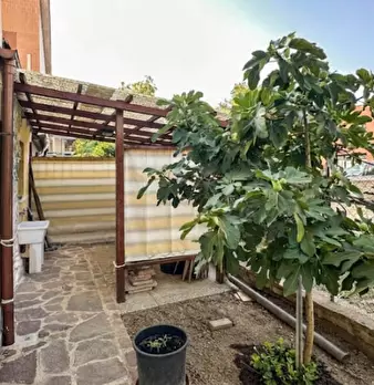 Foto annuncio 55