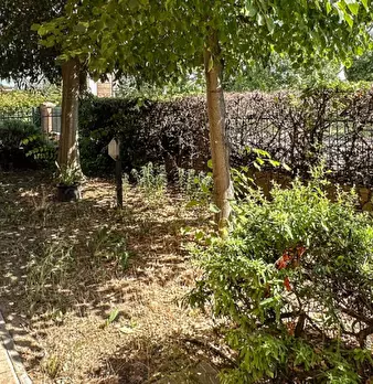 Foto annuncio 29