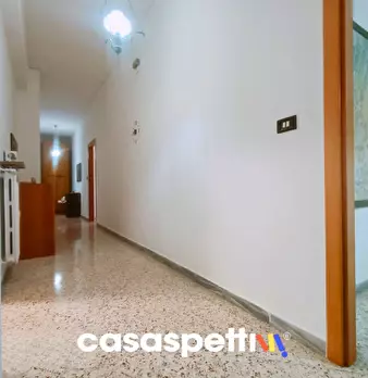 Foto annuncio 16